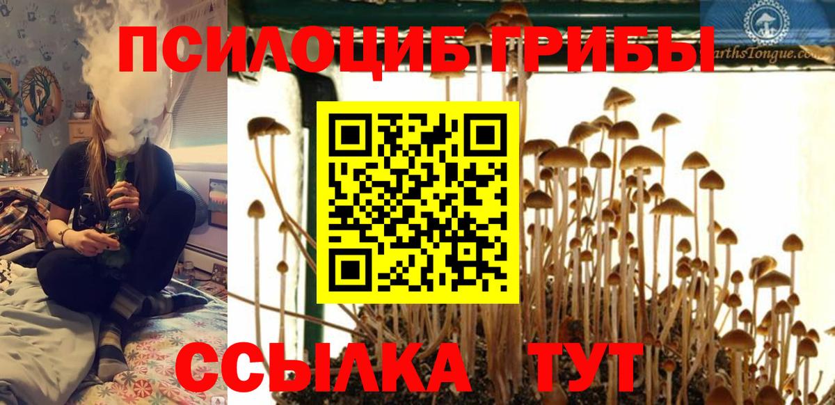 Галлюциногенные грибы Psilocybine cubensis  Вход с VPN  Крымск  Псилоцибиновые грибы Psilocybe 